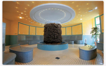 siedziska SPA wellness sauny łaźnie parowe baseny